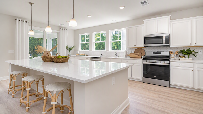 Modern features in new home for sale in Lorick Valley in Blythewood