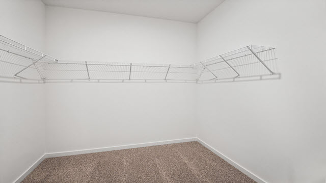 Interior walk-in closet