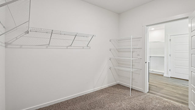 Interior walk-in closet