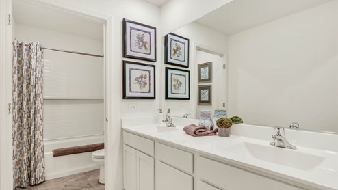 bathroom with double sinks and separated shower