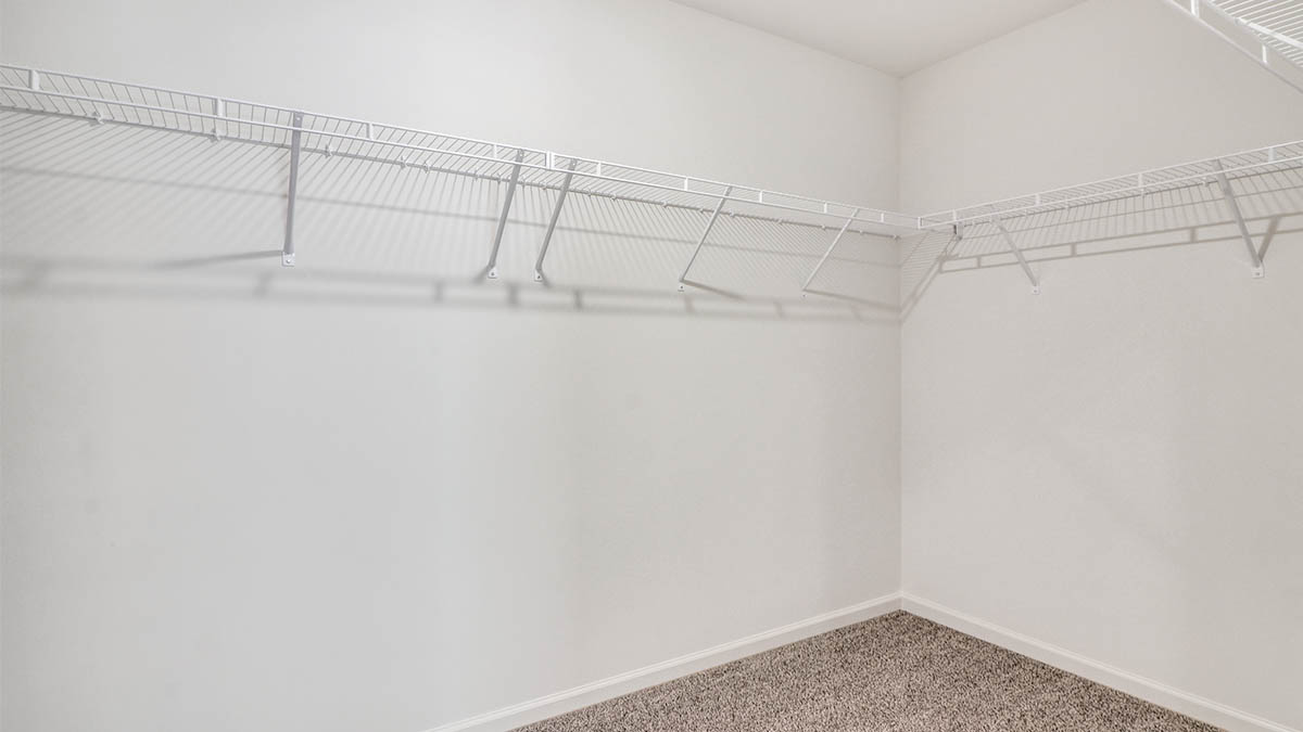 Primary walk in closet