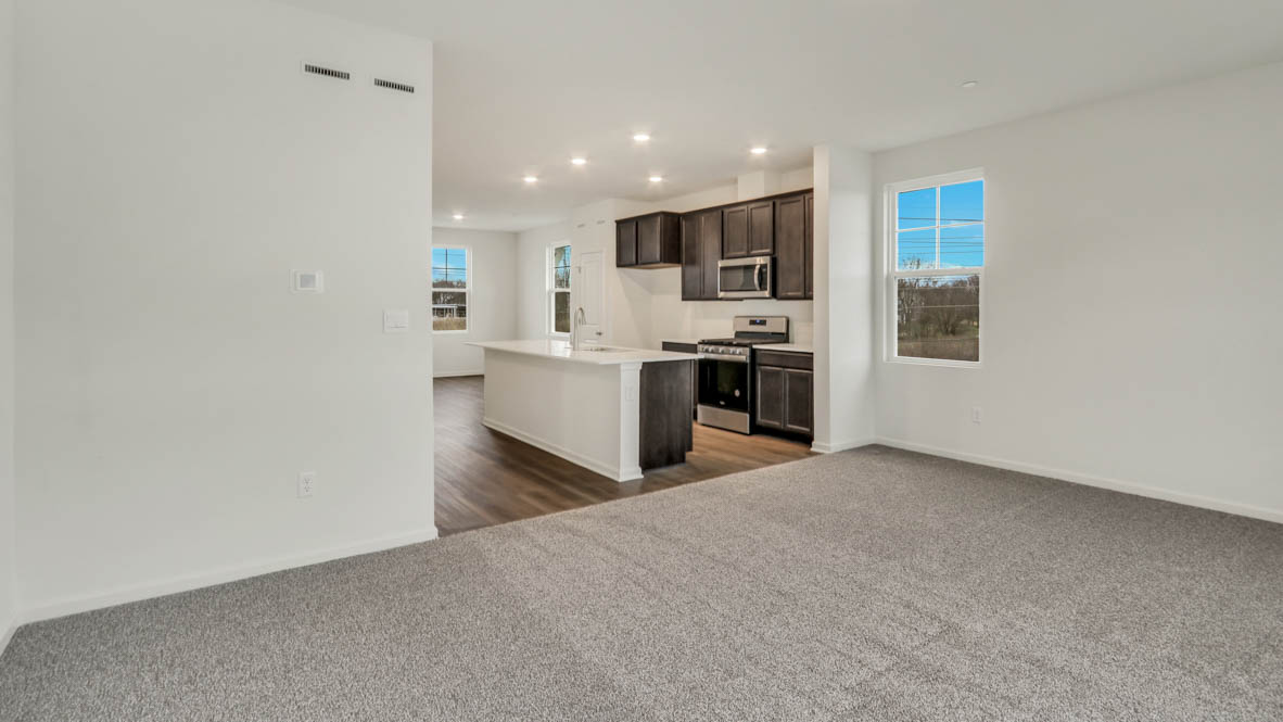 living room and kitchen interior