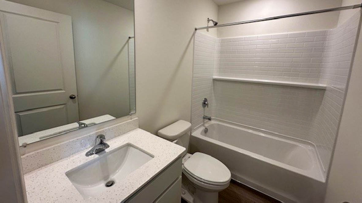 Family bathroom with stylish vanity, mirror, polished fixtures, cabinets, tub-shower combo in Stonewater Single Family Ranch