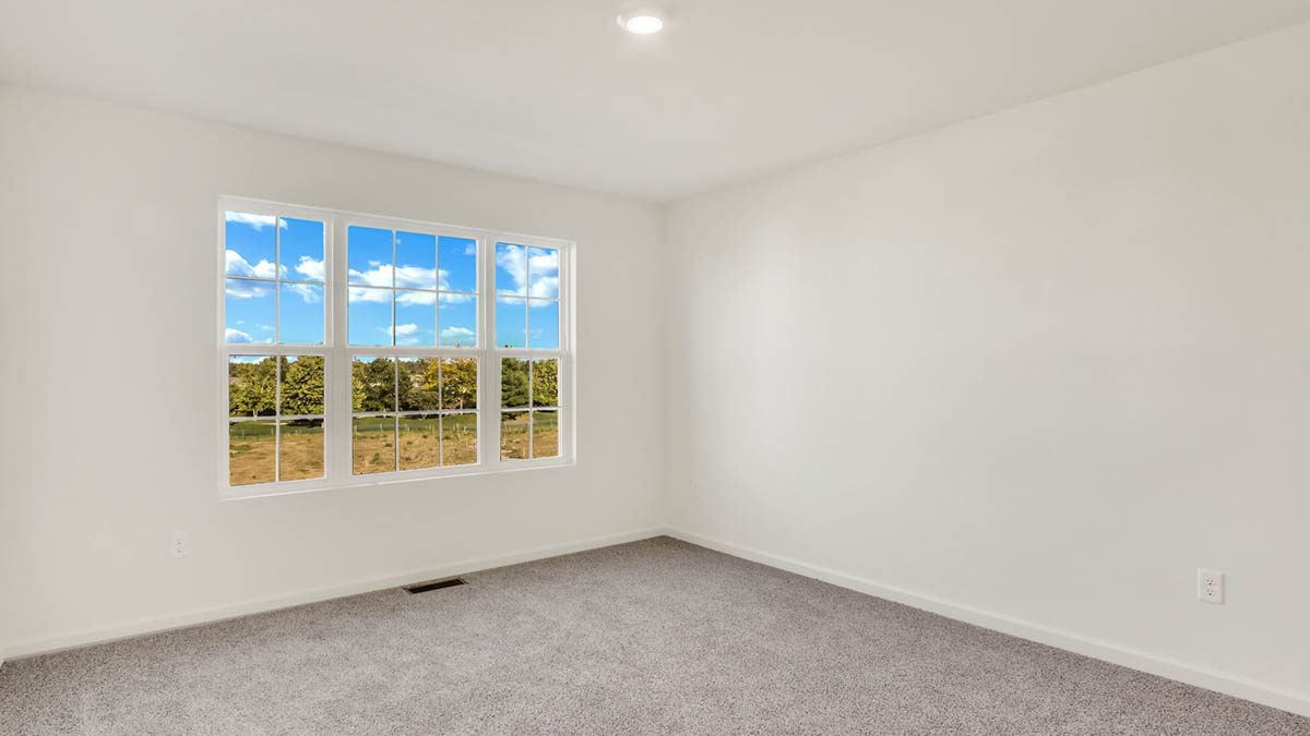 bedroom with beige carpet, white walls and a window