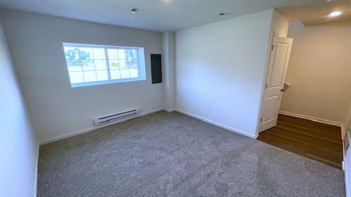 lower level flex room