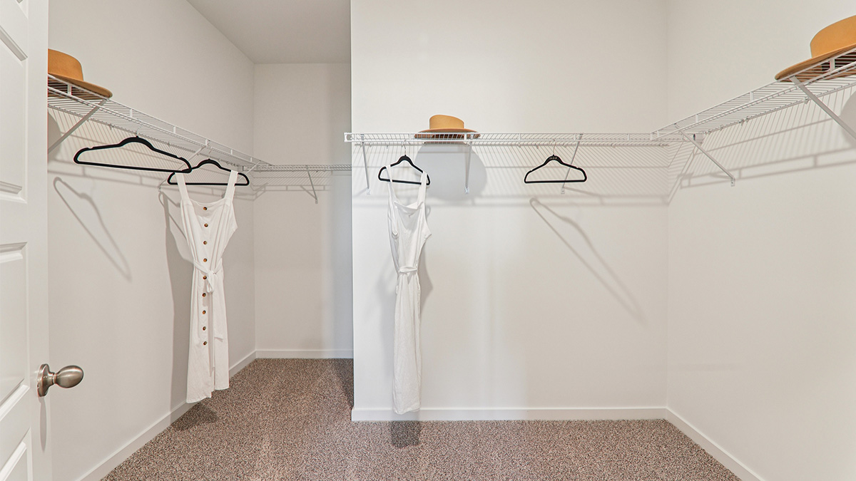 Spacious walk-in closet