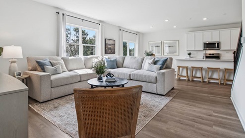 Spacious great room