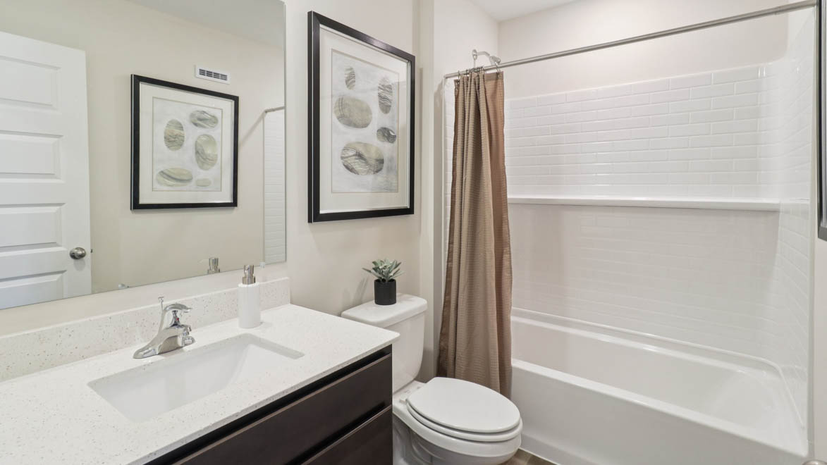 bathroom with a vanity sink, toilet and shower