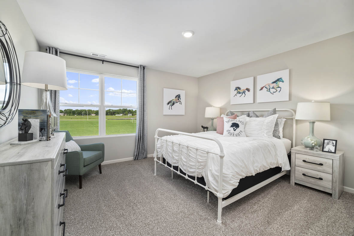 New Homes in Ivanhoe Manhattan, IL D.R. Horton