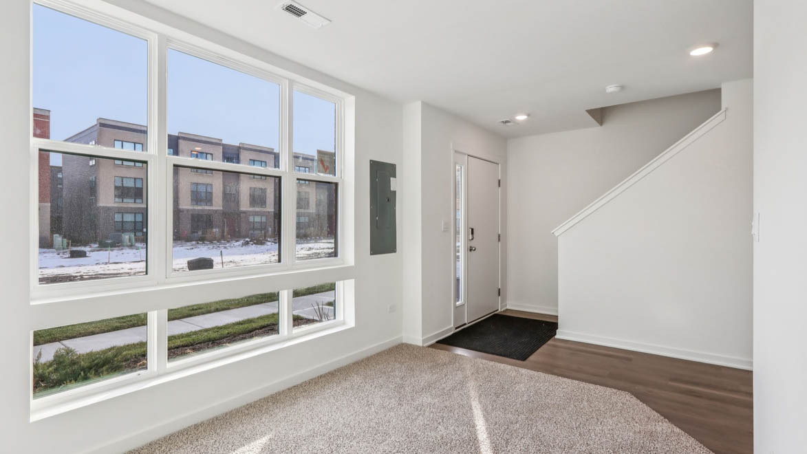 lower level flex room with carpet