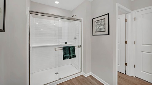 Primary bathroom with shower