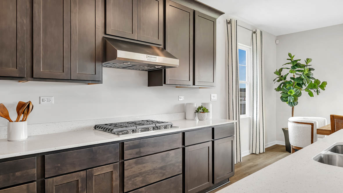 Gourmet kitchen with plenty of counterspace and stove top with hood vent