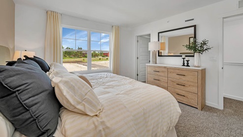 Primary bedroom with walk in closet