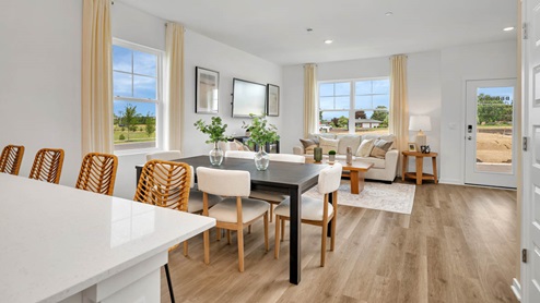 Kitchen island over-looking dining room and great room