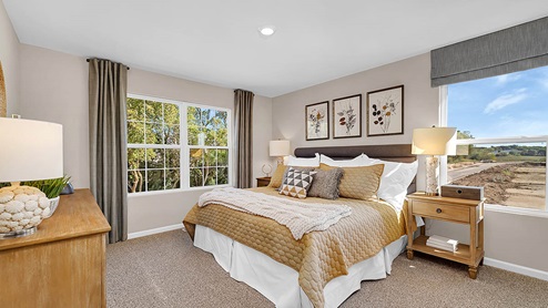 Primary suite with walk-in closet and attached full bathroom