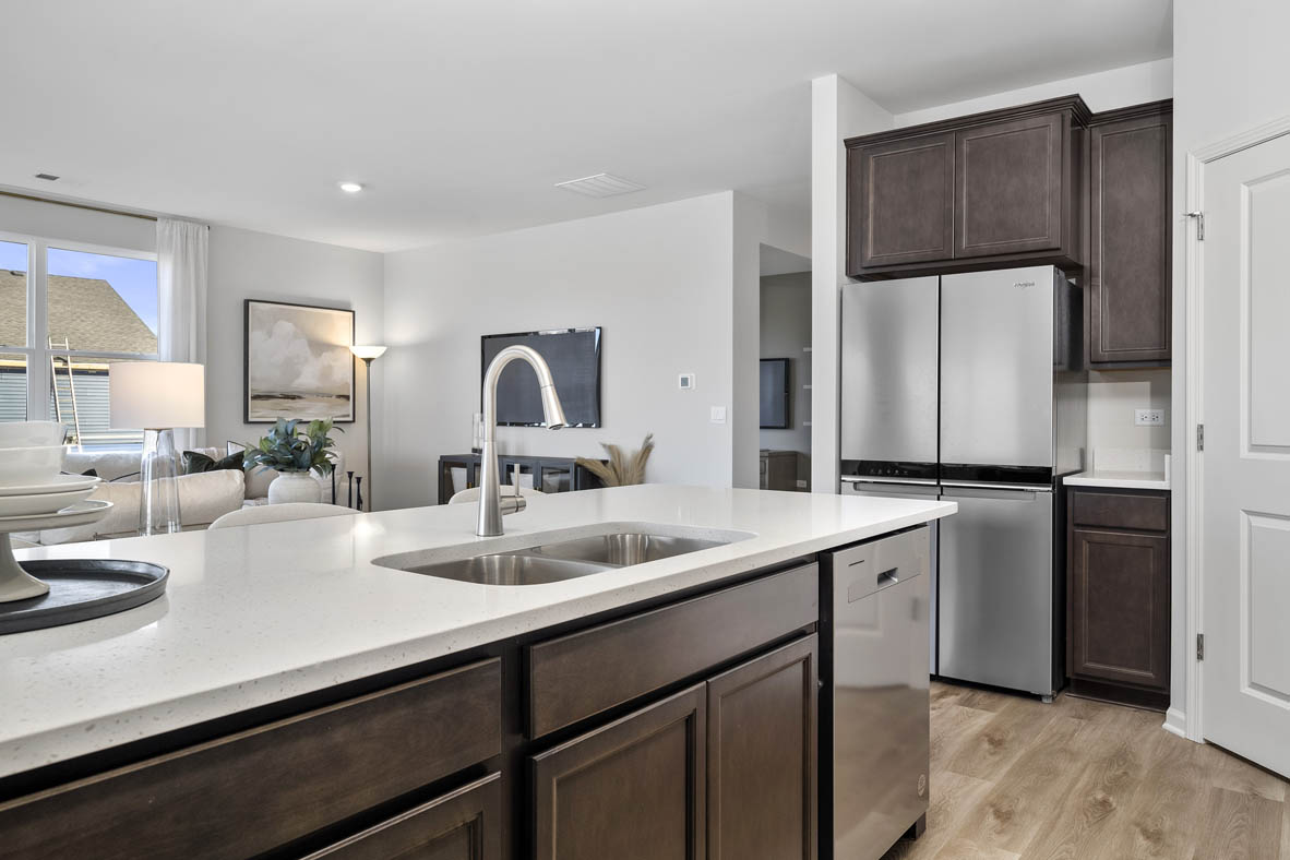 New Homes in The Grasslands Freedom Ranch Homes BARTLETT, IL D.R