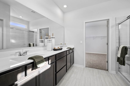 Clifton dark cabinets in primary bathroom