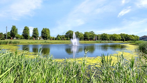 New Homes in Plainfield, Illinois in Playa Vista by D.R. Horton
