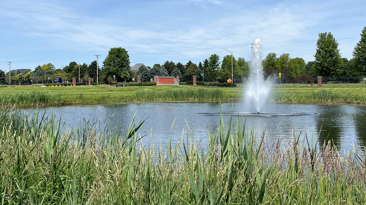 community pond 2