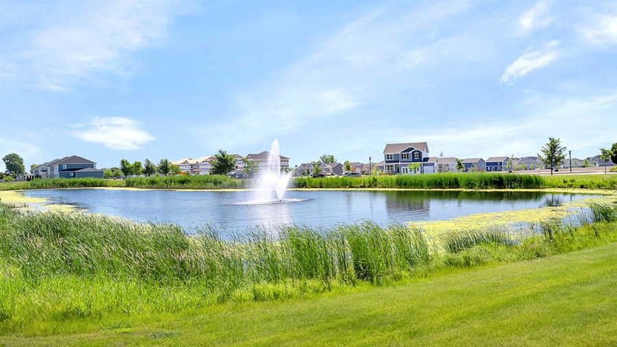 pond