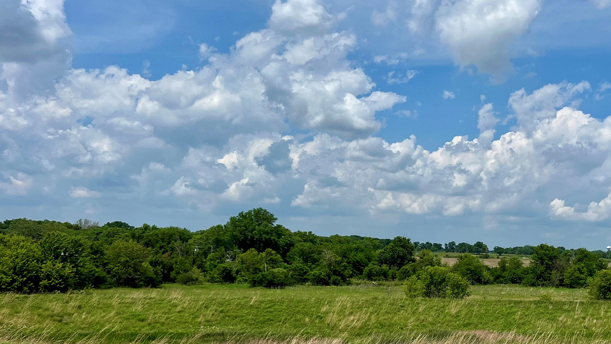 Marquis pointe prairie