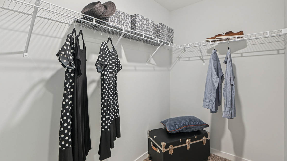 Primary Walk in closet