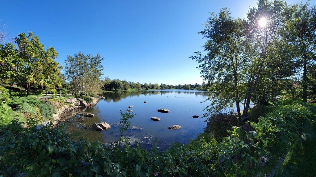 stonewater community