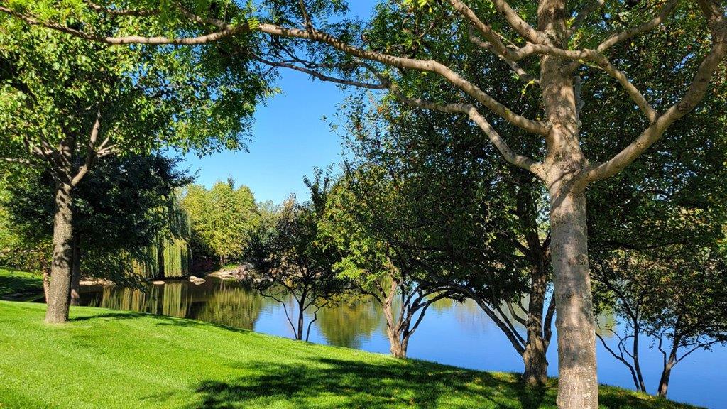 stonewater community