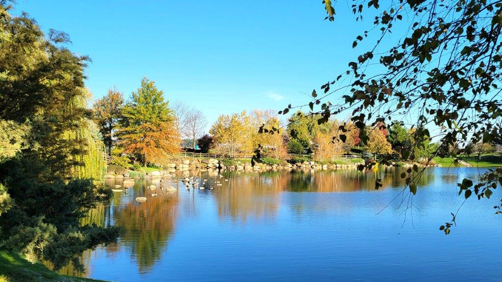stonewater community