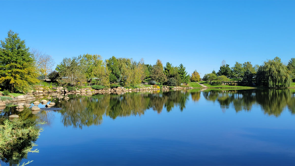 community pond