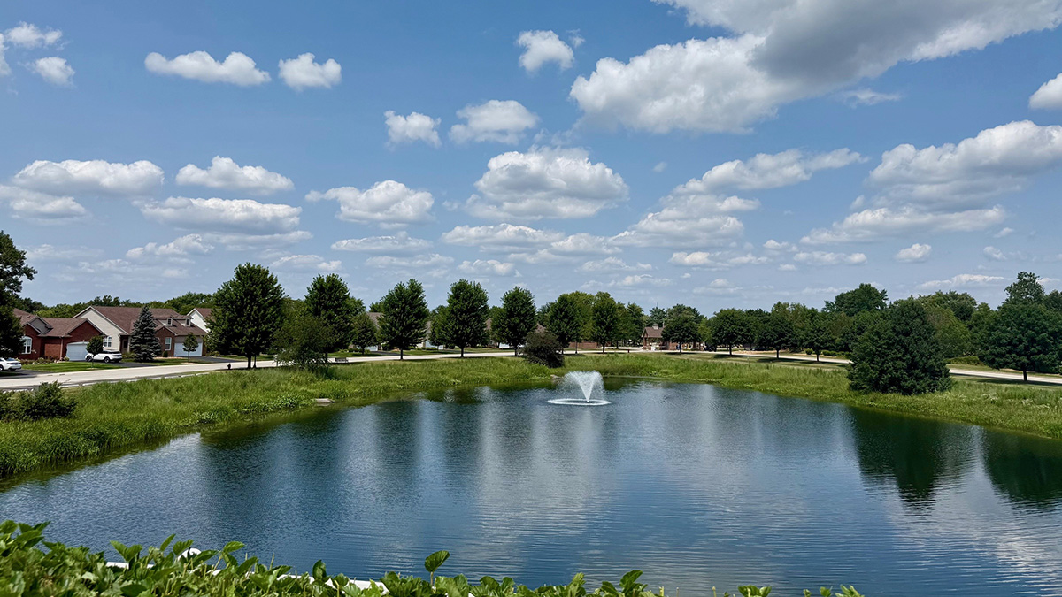 pond