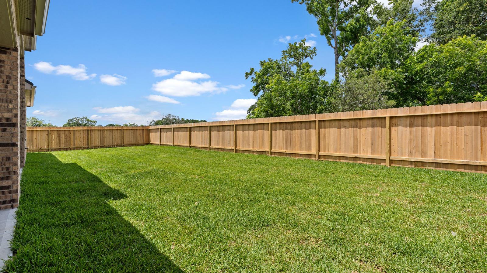 large backyard with sod