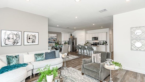 Living Room for Entertaining