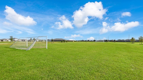 Recreation fields