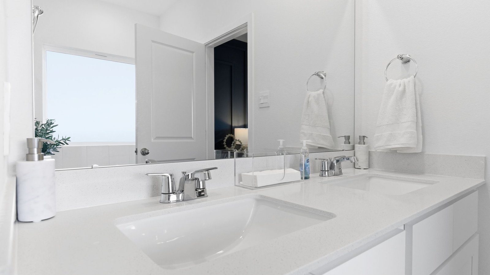 primary bathroom vanity with two sinks