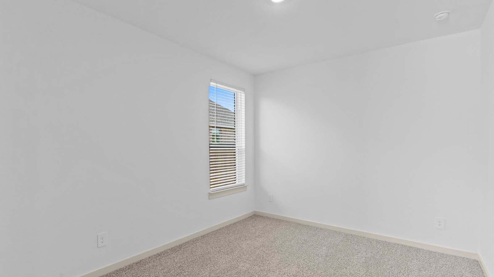 secondary bedroom with one large window