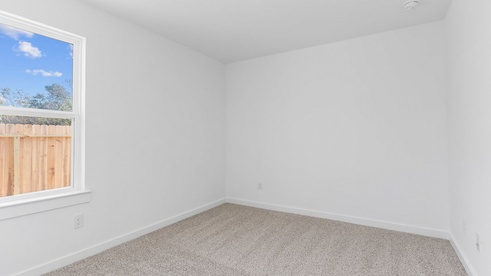 Secondary bedroom with large window