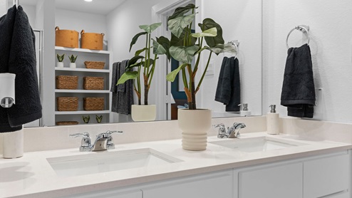 Primary bathroom with double sinks