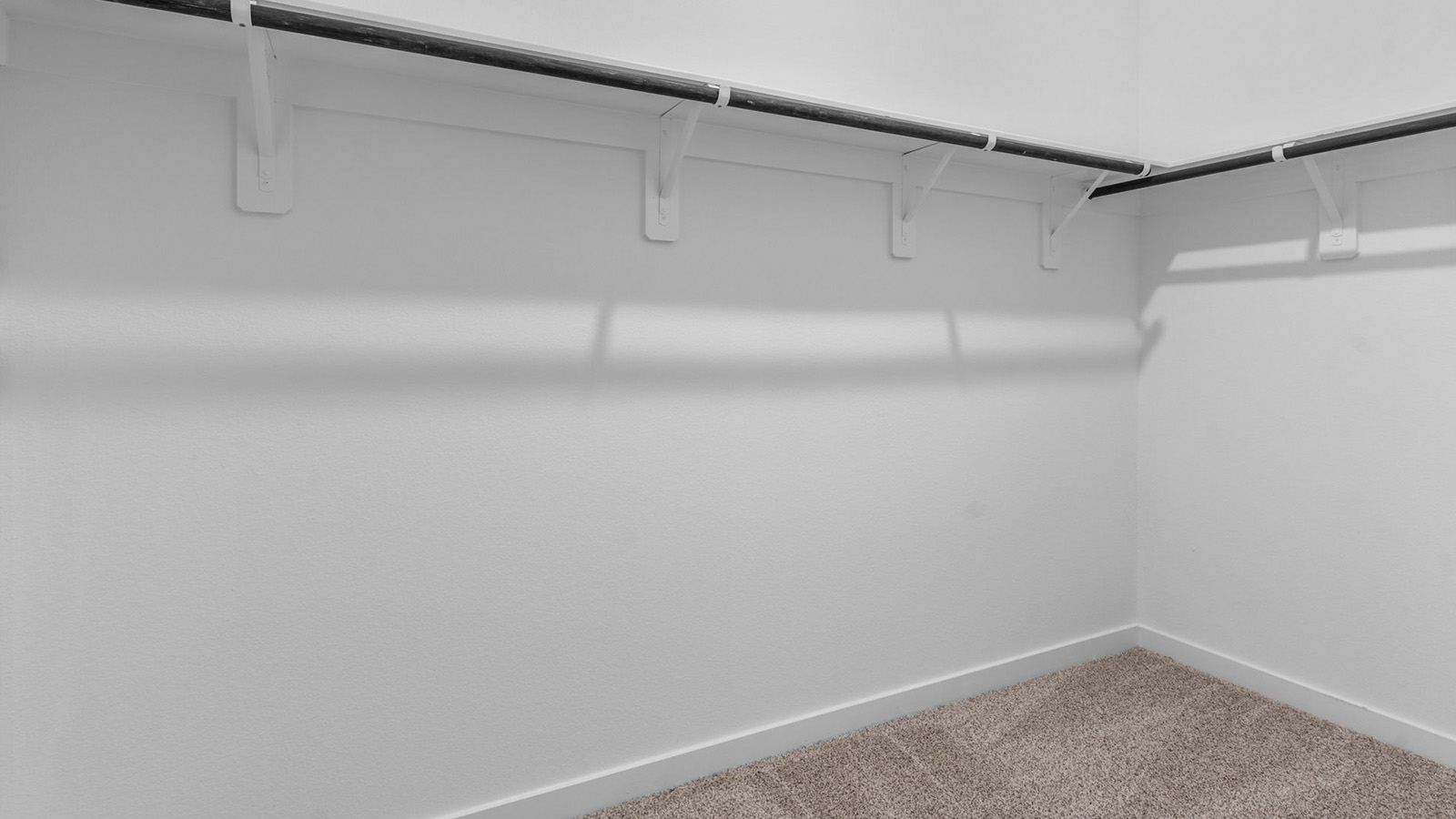 Primary walk in closet