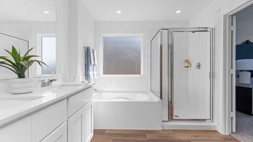 Primary bathroom with a large window and separate bathtub and shower