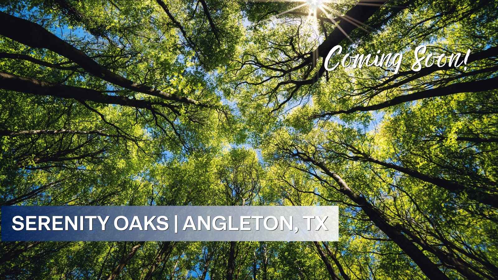 New homes in Serenity Oaks by DR Horton in Angleton TX on half acre homesites