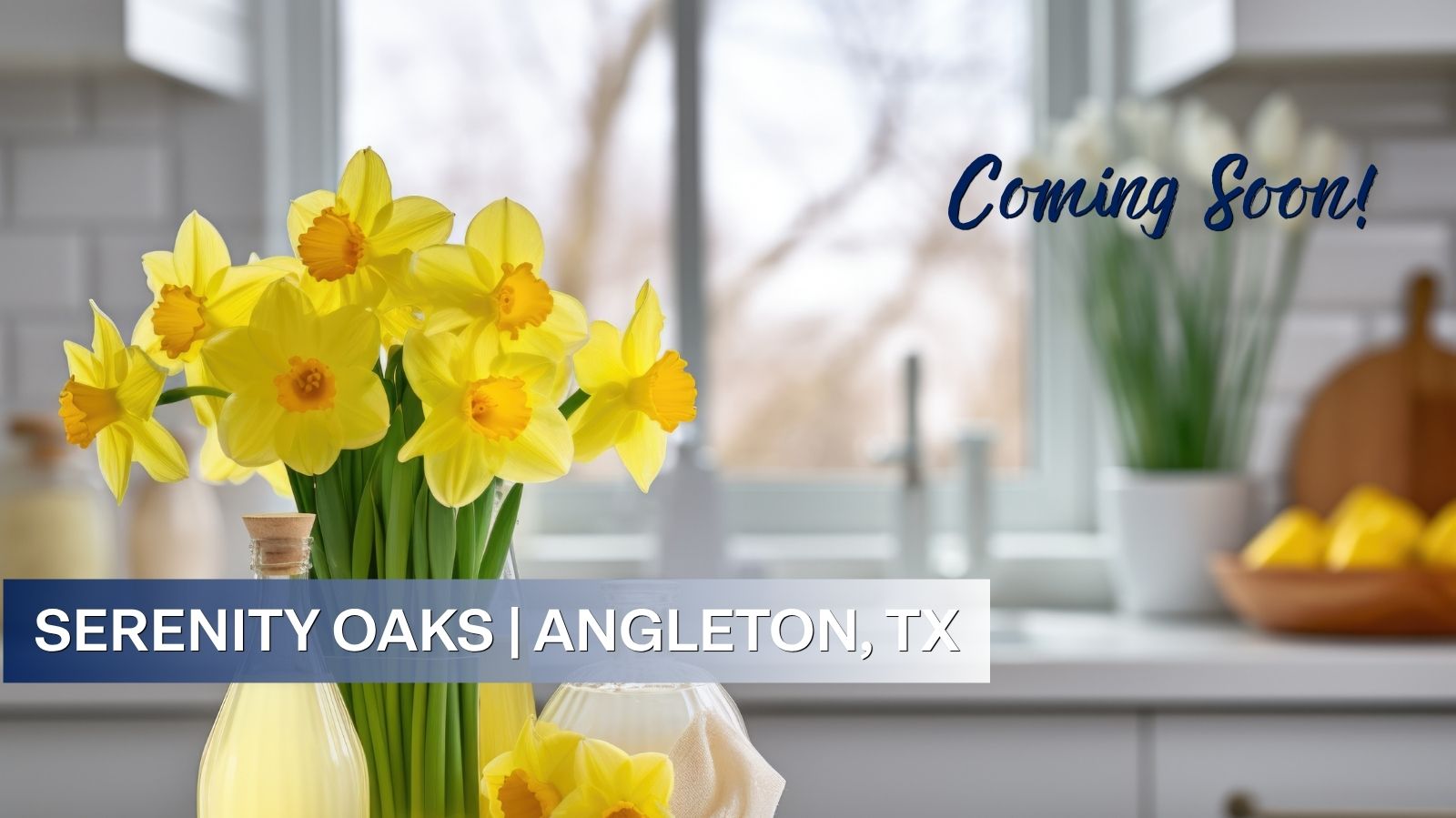 New homes in Serenity Oaks by DR Horton in Angleton TX with modern interior home features