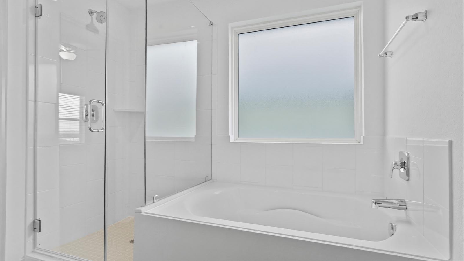 primary bathroom shower and tub
