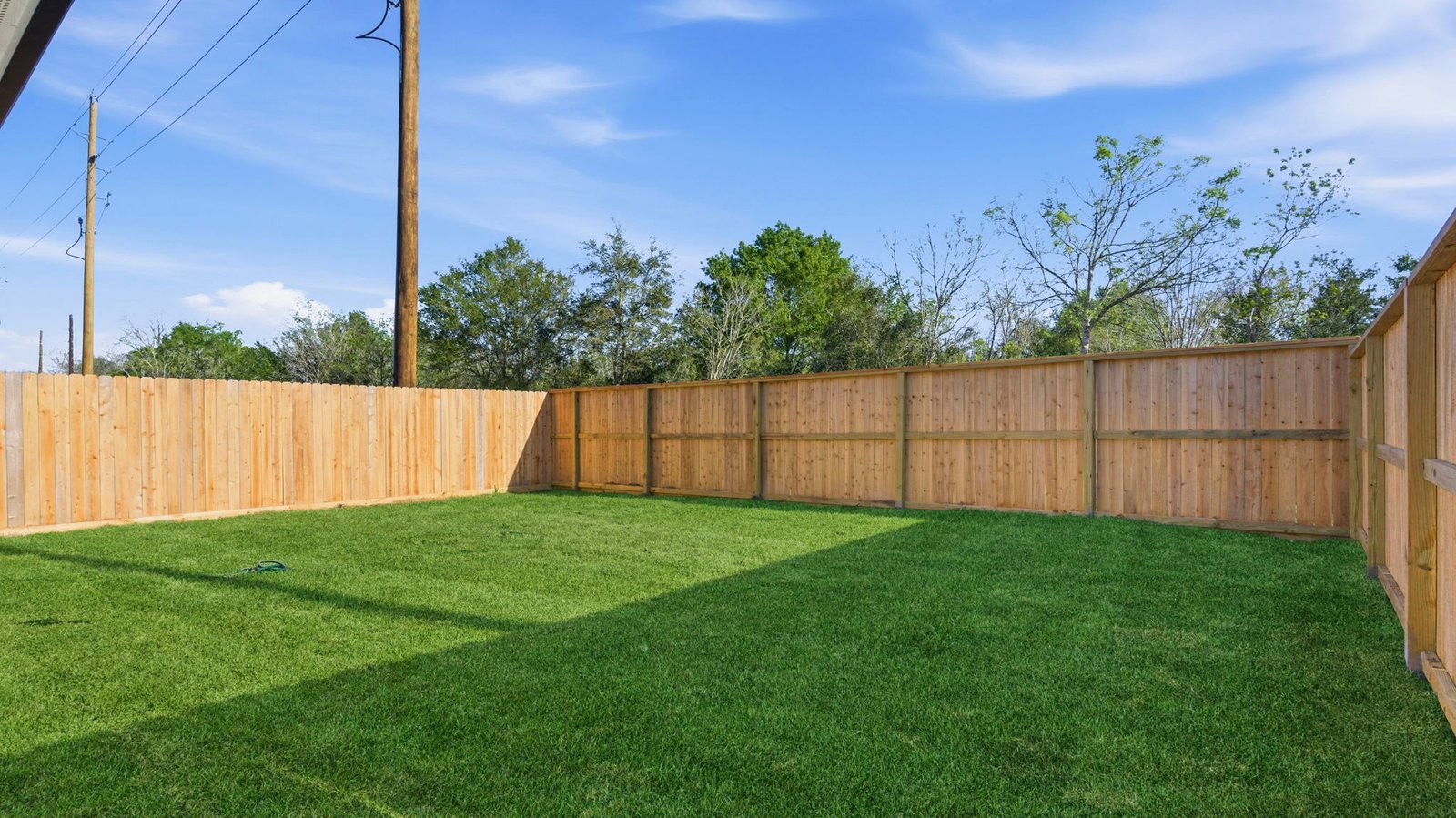 backyard with sod