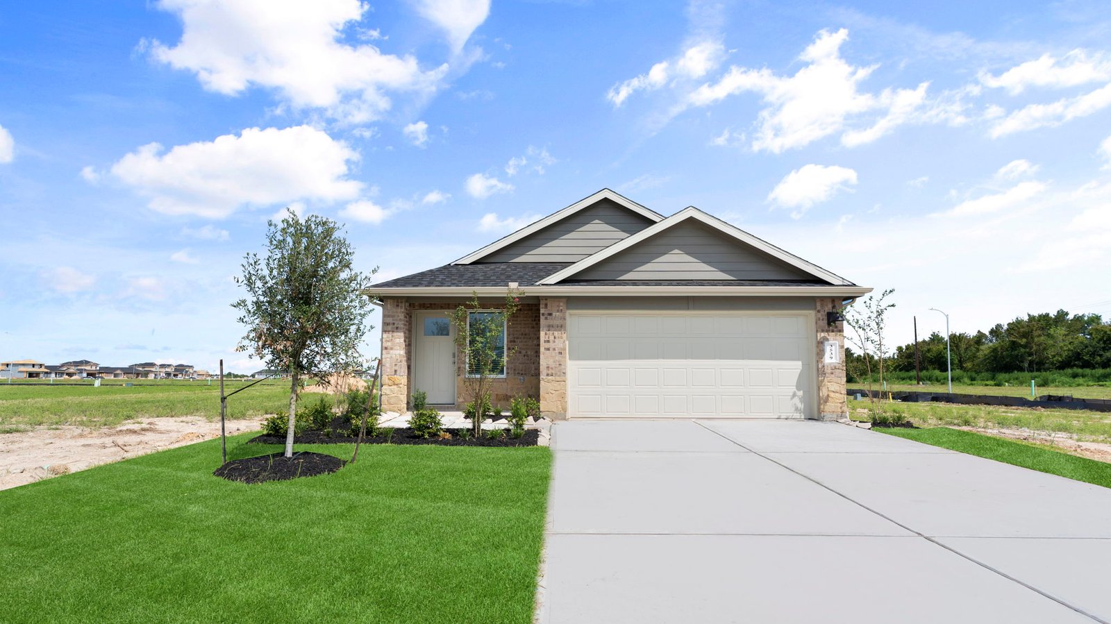 Newly built single story home with traditional architecture, a double garage, and landscaped front yard.