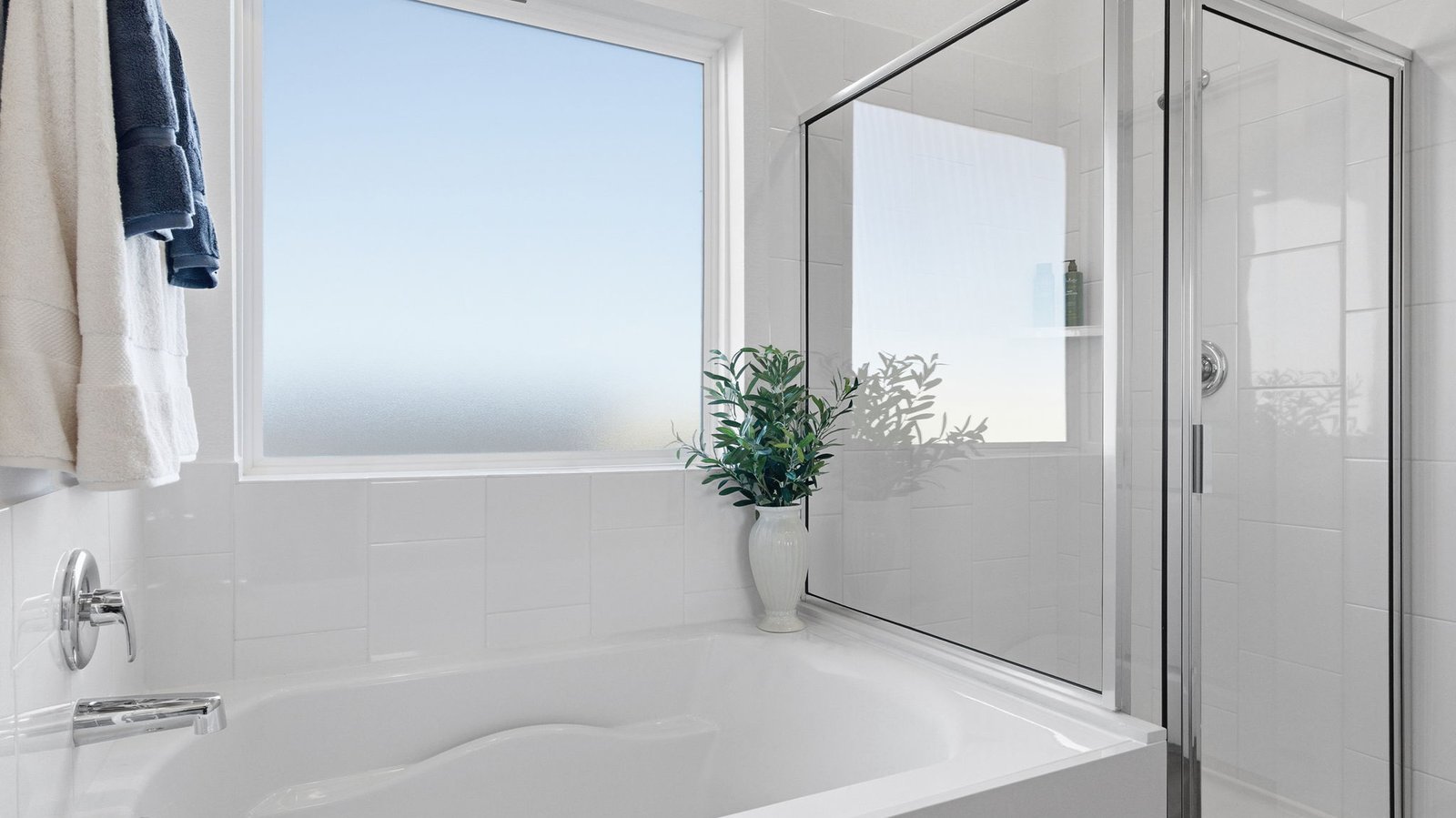 primary bathroom tub and shower