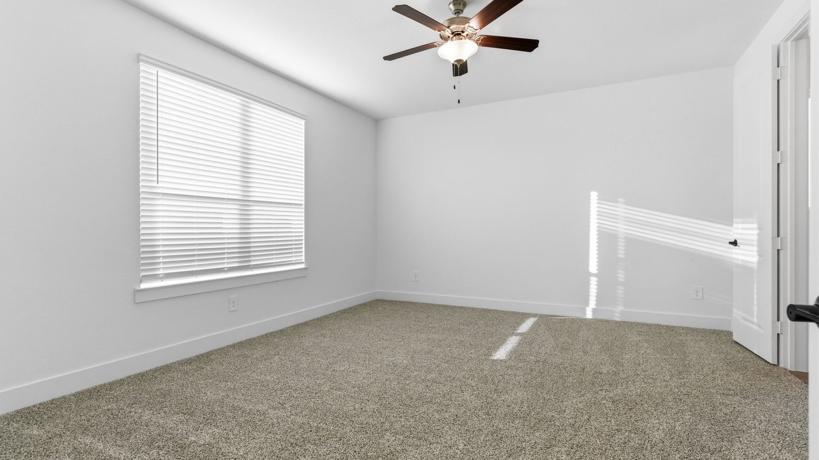 Primary bedroom with ceiling fan, plush carpeting, and a large walk-in closet.