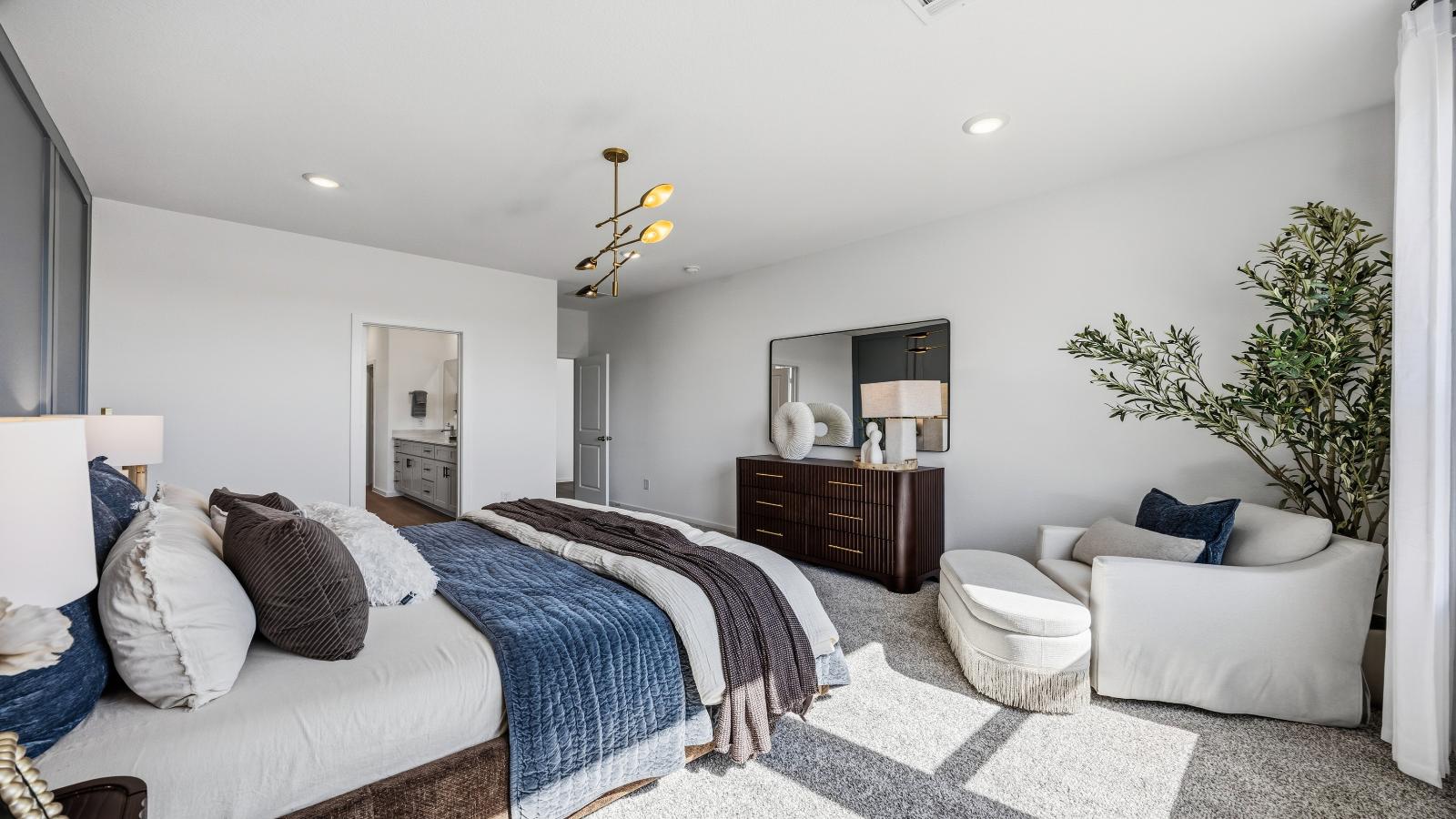 Primary bedroom with ceiling fan, plush carpeting, and a large walk-in closet.