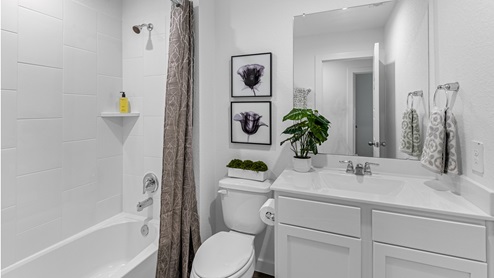 Secondary bathroom with stand in tub