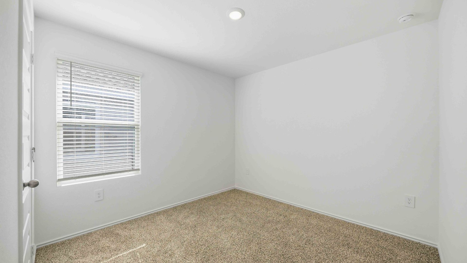 secondary bedrooms have light neutral walls and carpet flooring